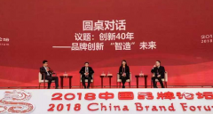 2018中(zhōng)國品牌論壇|利亞德集團實現民族品牌向世界